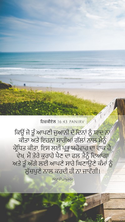 ਹਿਜ਼ਕੀਏਲ 16:43 PANIRV Bible Verse Image