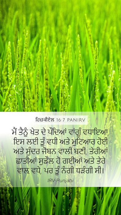 ਹਿਜ਼ਕੀਏਲ 16:7 PANIRV Bible Verse Image