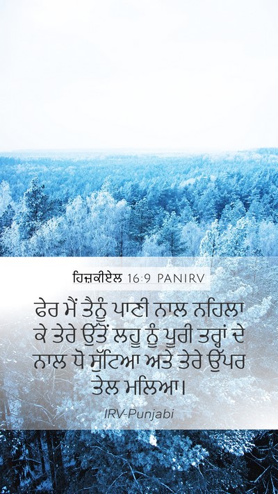 ਹਿਜ਼ਕੀਏਲ 16:9 PANIRV Mobile Phone Wallpaper - ਫੇਰ ਮੈਂ ਤੈਨੂੰ ਪਾਣੀ - Mobile Bible Verse Wallpaper