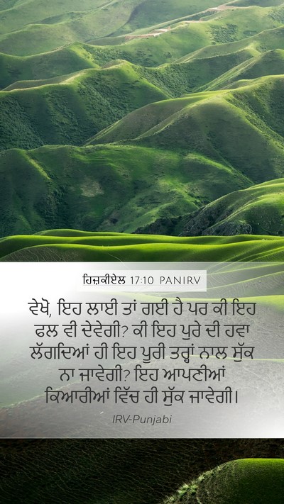 ਹਿਜ਼ਕੀਏਲ 17:10 PANIRV Bible Verse Image