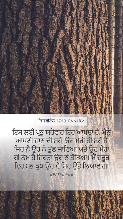 ਹਿਜ਼ਕੀਏਲ 17:19 PANIRV Bible Verse Image