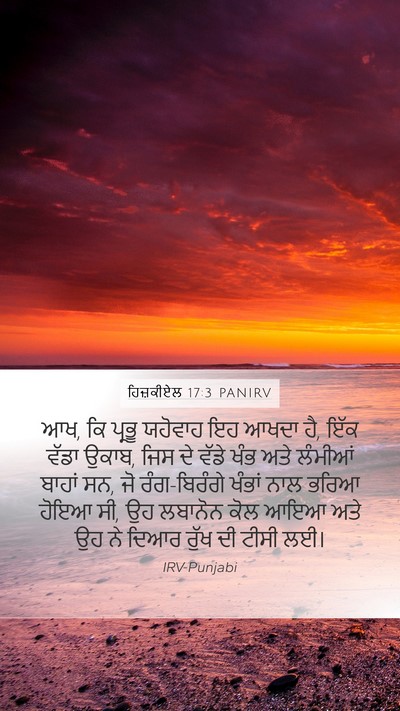 ਹਿਜ਼ਕੀਏਲ 17:3 PANIRV Bible Verse Image