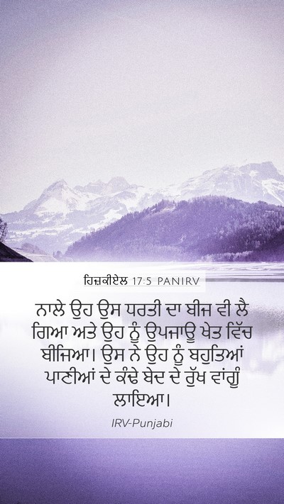 ਹਿਜ਼ਕੀਏਲ 17:5 PANIRV Bible Verse Image