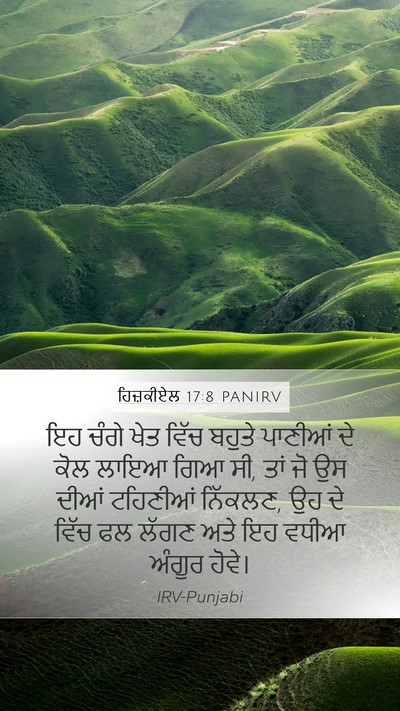 ਹਿਜ਼ਕੀਏਲ 17:8 PANIRV Mobile Phone Wallpaper - ਇਹ ਚੰਗੇ ਖੇਤ ਵਿੱਚ - Mobile Bible Verse Wallpaper