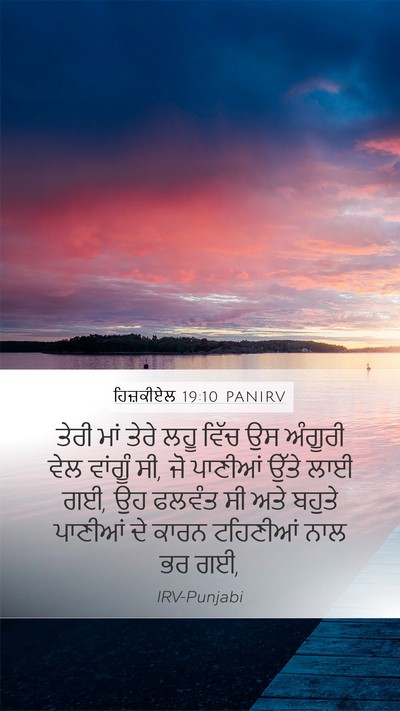ਹਿਜ਼ਕੀਏਲ 19:10 PANIRV Bible Verse Image