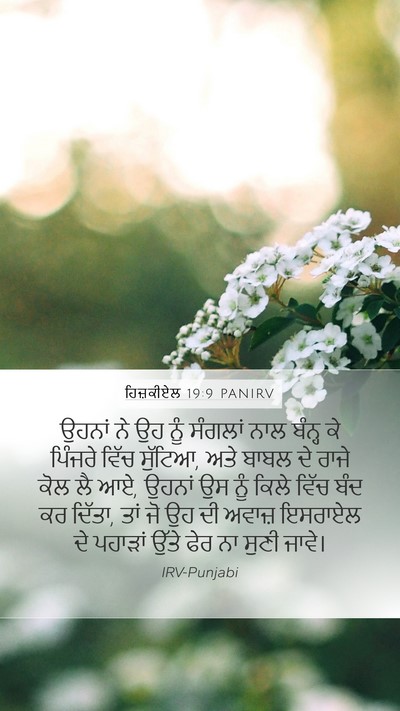 ਹਿਜ਼ਕੀਏਲ 19:9 PANIRV Bible Verse Image