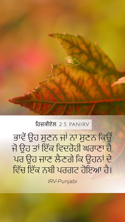 ਹਿਜ਼ਕੀਏਲ 2:5 PANIRV Bible Verse Image