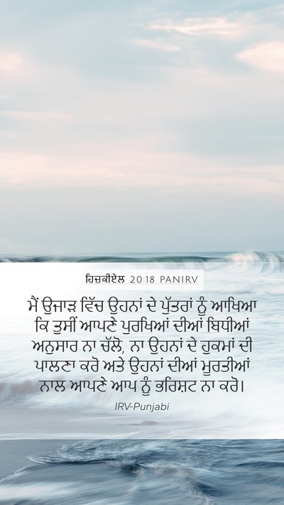 ਹਿਜ਼ਕੀਏਲ 20:18 PANIRV Bible Verse Image