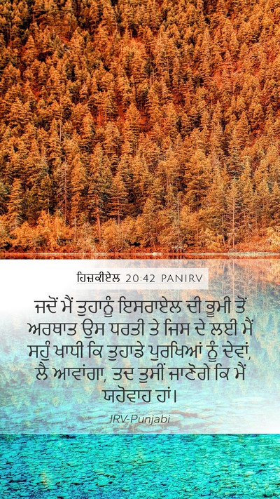 ਹਿਜ਼ਕੀਏਲ 20:42 PANIRV Bible Verse Image
