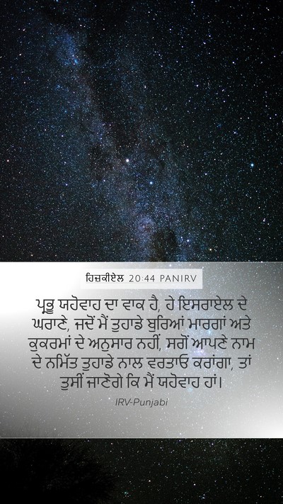 ਹਿਜ਼ਕੀਏਲ 20:44 PANIRV Bible Verse Image