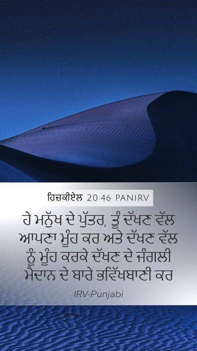 ਹਿਜ਼ਕੀਏਲ 20:46 PANIRV Bible Verse Image