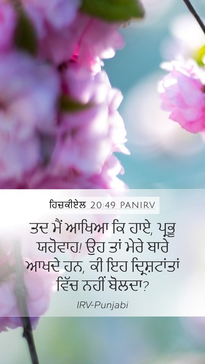 ਹਿਜ਼ਕੀਏਲ 20:49 PANIRV Bible Verse Image