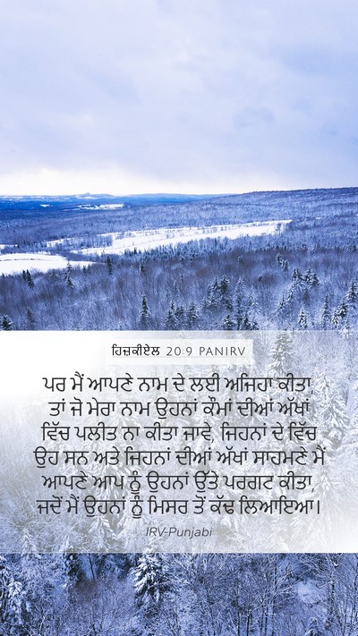 ਹਿਜ਼ਕੀਏਲ 20:9 PANIRV Bible Verse Image