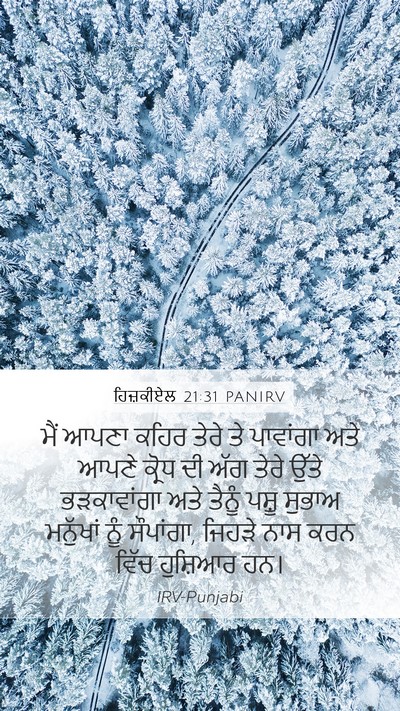 ਹਿਜ਼ਕੀਏਲ 21:31 PANIRV Bible Verse Image