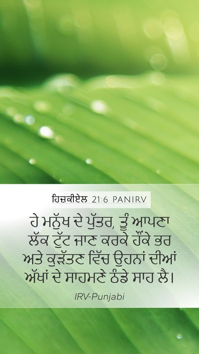 ਹਿਜ਼ਕੀਏਲ 21:6 PANIRV Bible Verse Image