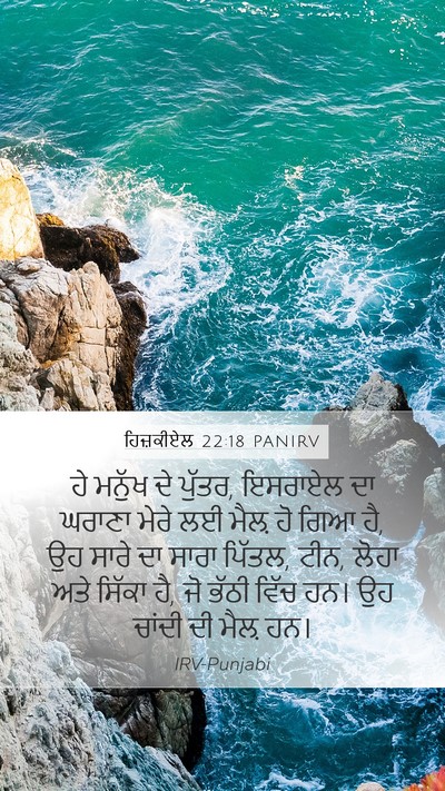 ਹਿਜ਼ਕੀਏਲ 22:18 PANIRV Bible Verse Image