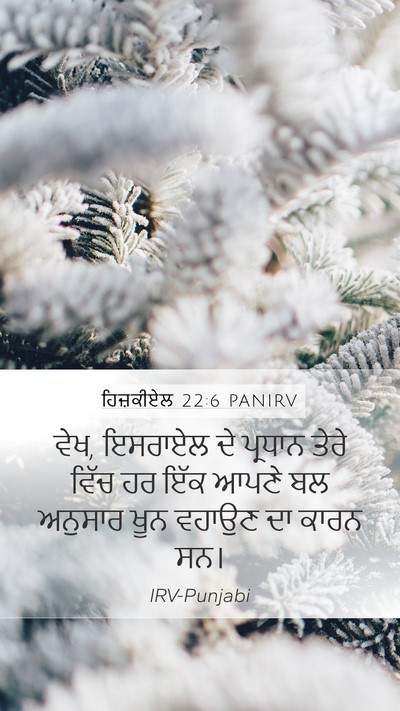ਹਿਜ਼ਕੀਏਲ 22:6 PANIRV Bible Verse Image