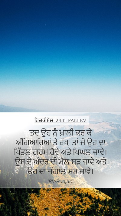 ਹਿਜ਼ਕੀਏਲ 24:11 PANIRV Bible Verse Image
