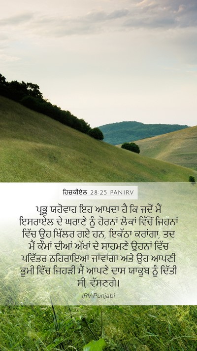 ਹਿਜ਼ਕੀਏਲ 28:25 PANIRV Bible Verse Image