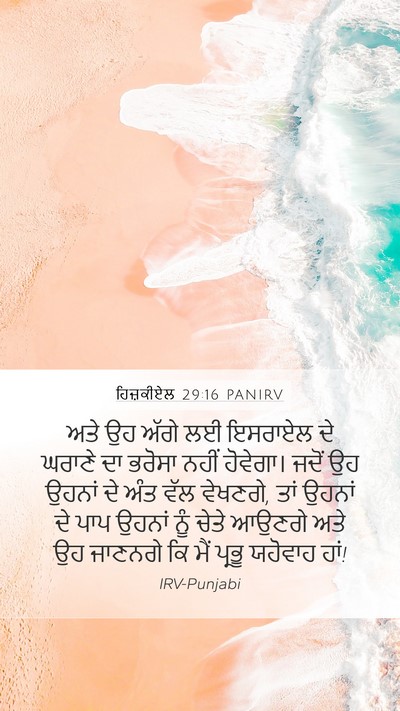 ਹਿਜ਼ਕੀਏਲ 29:16 PANIRV Bible Verse Image