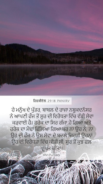 ਹਿਜ਼ਕੀਏਲ 29:18 PANIRV Bible Verse Image