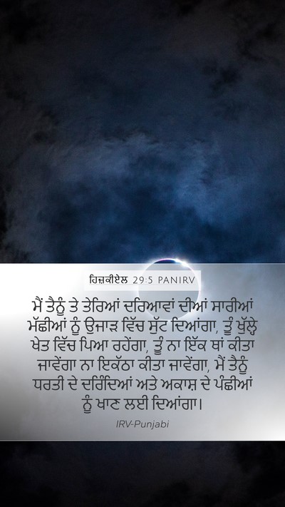 ਹਿਜ਼ਕੀਏਲ 29:5 PANIRV Bible Verse Image