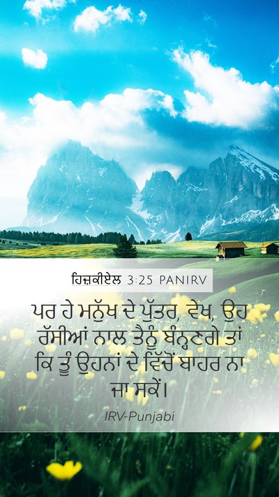 ਹਿਜ਼ਕੀਏਲ 3:25 PANIRV Bible Verse Image