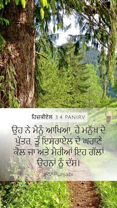 ਹਿਜ਼ਕੀਏਲ 3:4 PANIRV Bible Verse Image