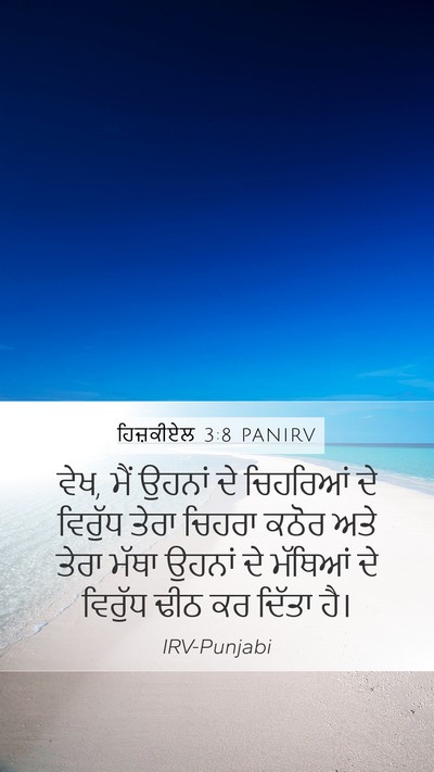 ਹਿਜ਼ਕੀਏਲ 3:8 PANIRV Bible Verse Image