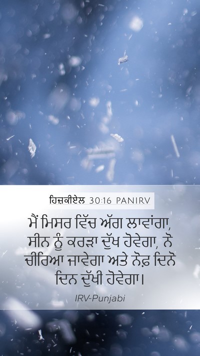 ਹਿਜ਼ਕੀਏਲ 30:16 PANIRV Bible Verse Image