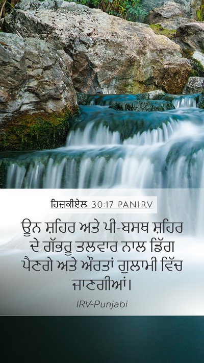 ਹਿਜ਼ਕੀਏਲ 30:17 PANIRV Bible Verse Image