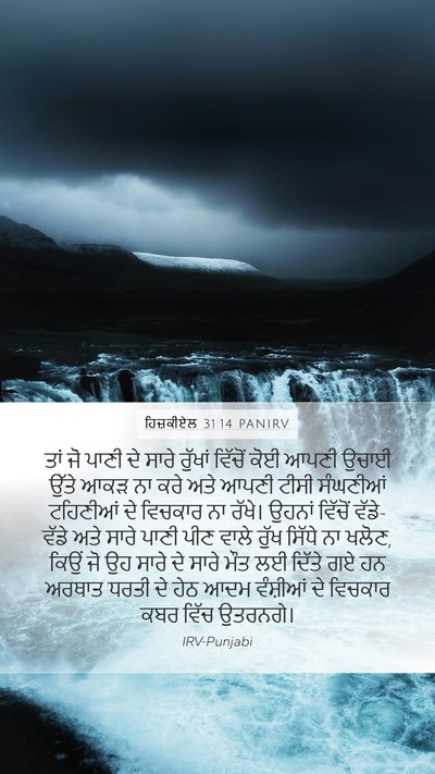 ਹਿਜ਼ਕੀਏਲ 31:14 PANIRV Bible Verse Image