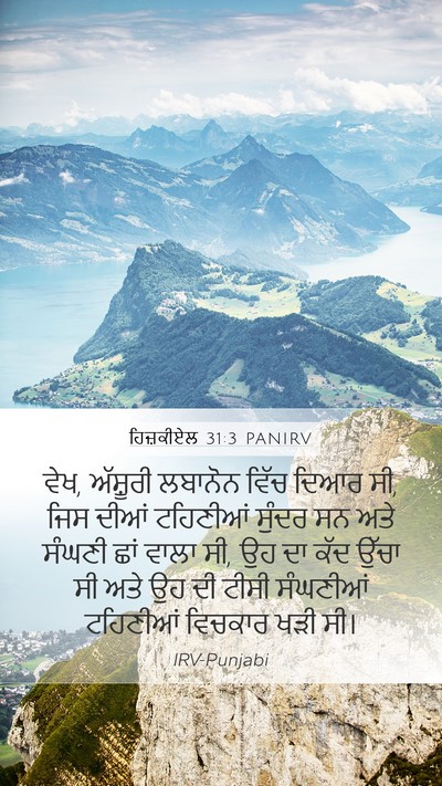 ਹਿਜ਼ਕੀਏਲ 31:3 PANIRV Bible Verse Image