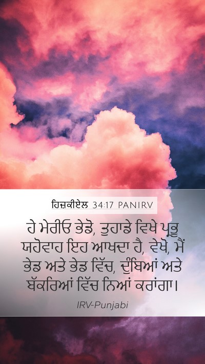 ਹਿਜ਼ਕੀਏਲ 34:17 PANIRV Bible Verse Image