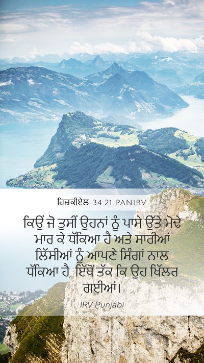 ਹਿਜ਼ਕੀਏਲ 34:21 PANIRV Bible Verse Image