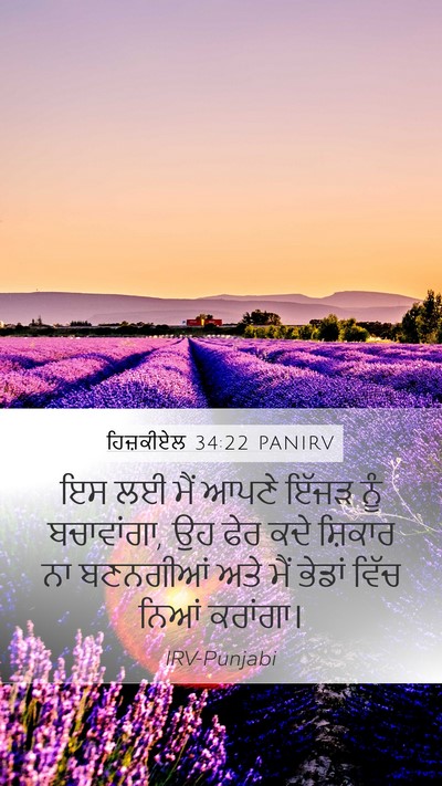 ਹਿਜ਼ਕੀਏਲ 34:22 PANIRV Bible Verse Image