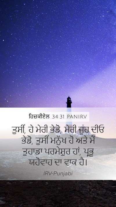ਹਿਜ਼ਕੀਏਲ 34:31 PANIRV Bible Verse Image