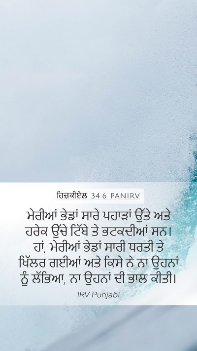 ਹਿਜ਼ਕੀਏਲ 34:6 PANIRV Bible Verse Image