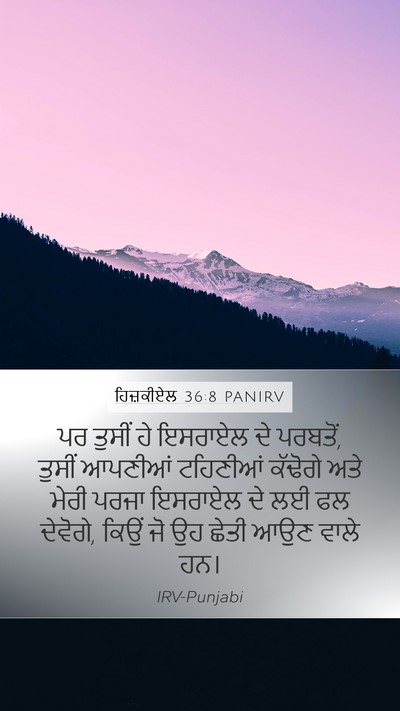 ਹਿਜ਼ਕੀਏਲ 36:8 PANIRV Bible Verse Image