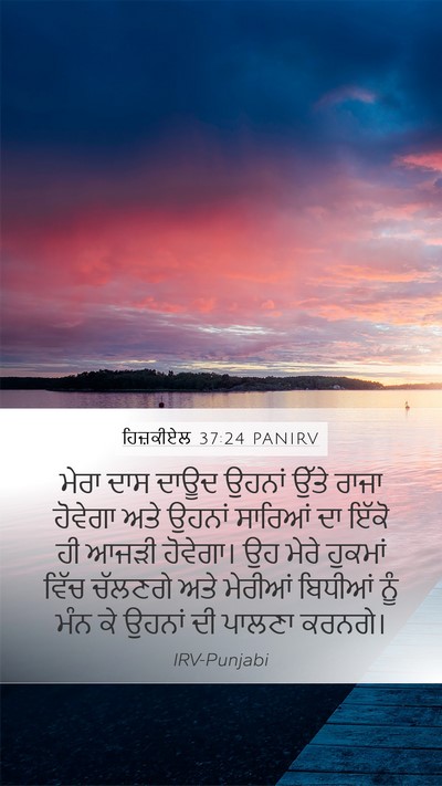 ਹਿਜ਼ਕੀਏਲ 37:24 PANIRV Bible Verse Image