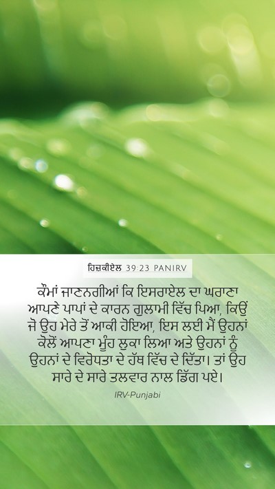 ਹਿਜ਼ਕੀਏਲ 39:23 PANIRV Bible Verse Image