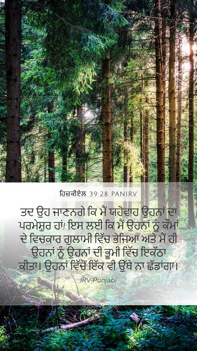 ਹਿਜ਼ਕੀਏਲ 39:28 PANIRV Bible Verse Image