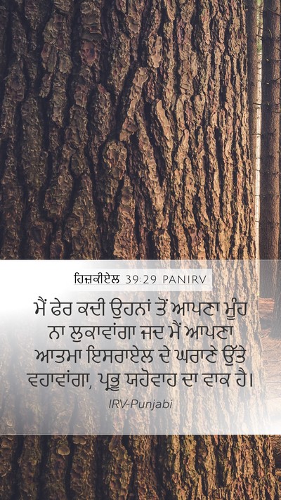 ਹਿਜ਼ਕੀਏਲ 39:29 PANIRV Bible Verse Image