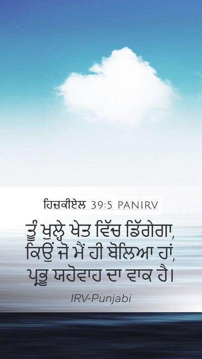 ਹਿਜ਼ਕੀਏਲ 39:5 PANIRV Mobile Phone Wallpaper - ਤੂੰ ਖੁਲ੍ਹੇ ਖੇਤ - Mobile Bible Verse Wallpaper