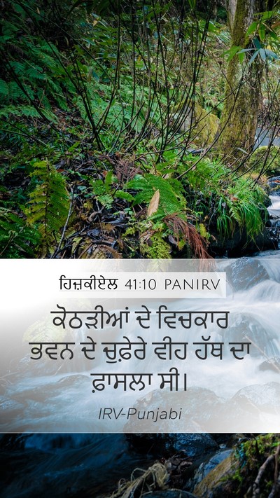 ਹਿਜ਼ਕੀਏਲ 41:10 PANIRV Bible Verse Image