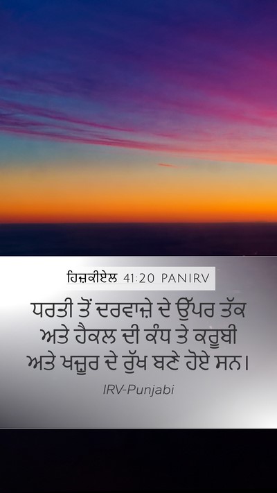 ਹਿਜ਼ਕੀਏਲ 41:20 PANIRV Bible Verse Image