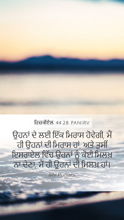 ਹਿਜ਼ਕੀਏਲ 44:28 PANIRV Bible Verse Image