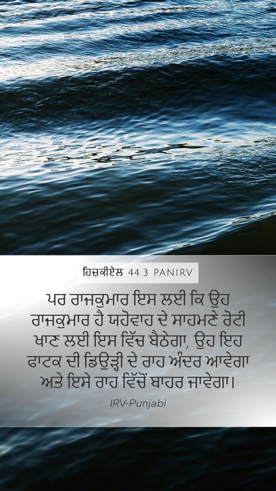 ਹਿਜ਼ਕੀਏਲ 44:3 PANIRV Bible Verse Image