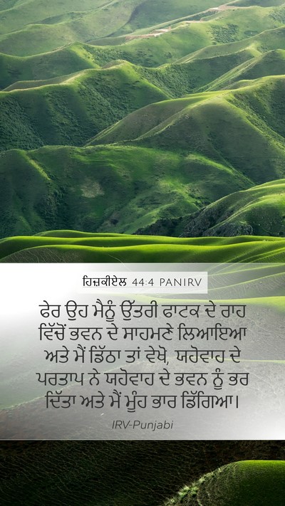 ਹਿਜ਼ਕੀਏਲ 44:4 PANIRV Bible Verse Image