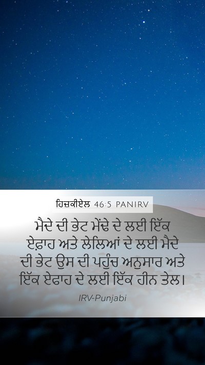 ਹਿਜ਼ਕੀਏਲ 46:5 PANIRV Bible Verse Image